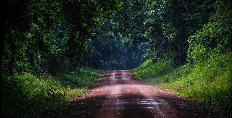 L4A_DESTINATIONS_PAGE_UGANDAmdpi (1)