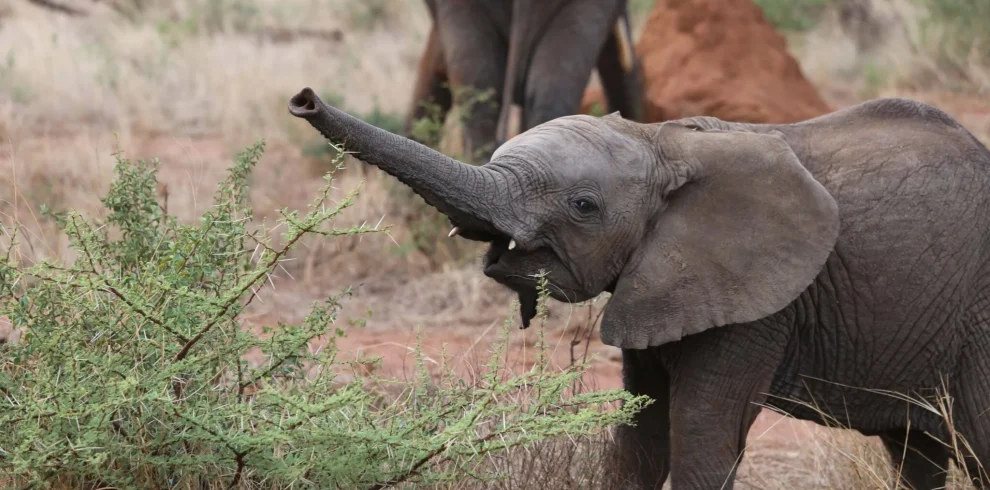 lili-koslowksi-550178-unsplash-1-2048×1365